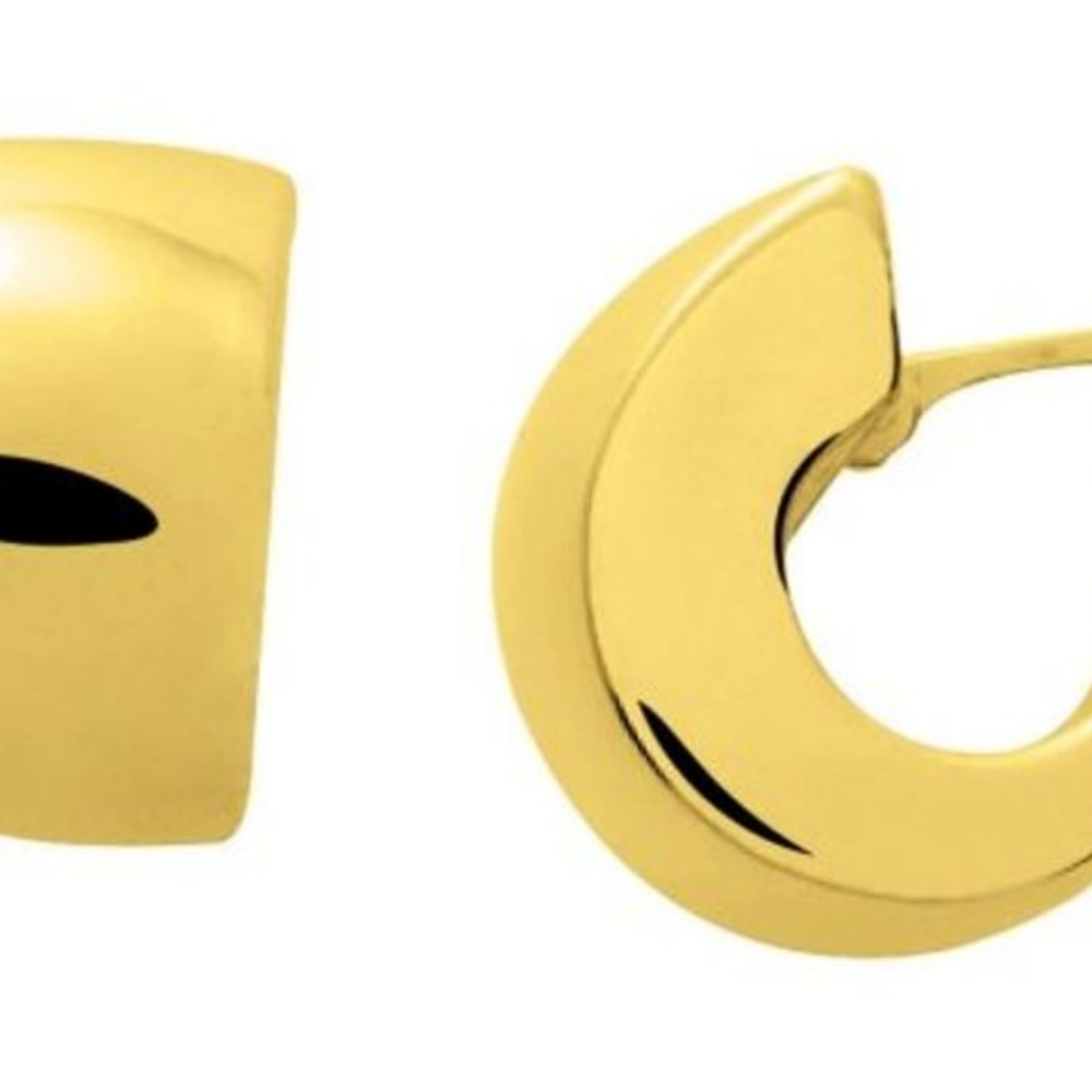 Gold Small Loop Earrings